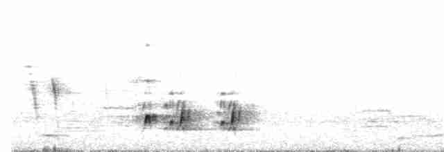 Boz Alınlı Sinekkapan - ML173851011