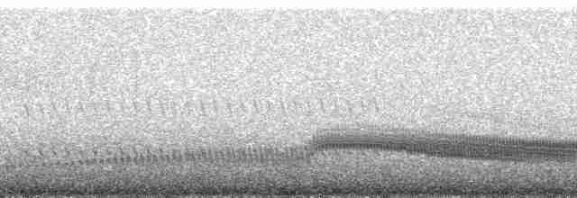Swallow-tailed Nightjar - ML173861