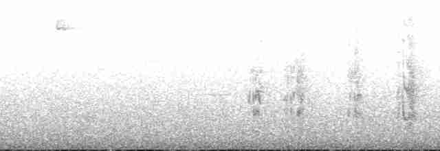 amazónek černokřídlý - ML173903