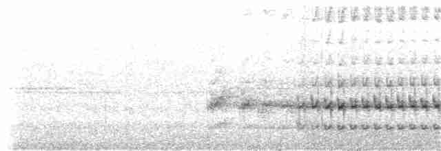 Weißkronentapaculo - ML173919541