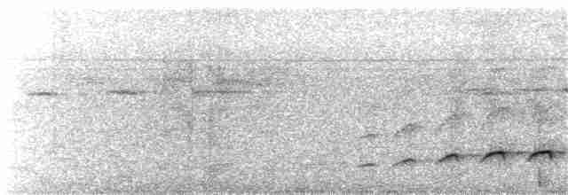 Fleckenbrust-Ameisenvogel - ML173936891