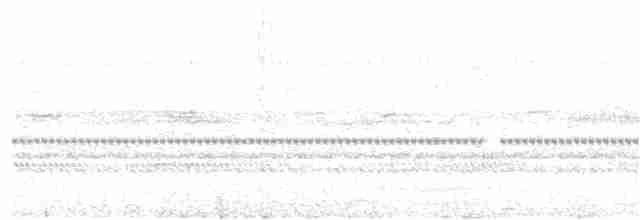 黃嘴角鴞 - ML173953151