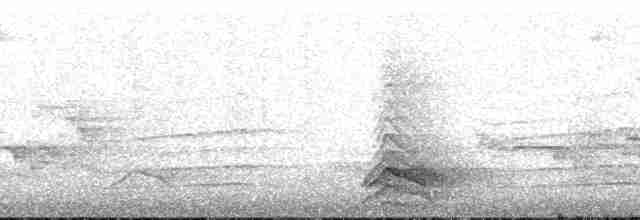 Капюшоновый трёхпалый тинаму - ML173972