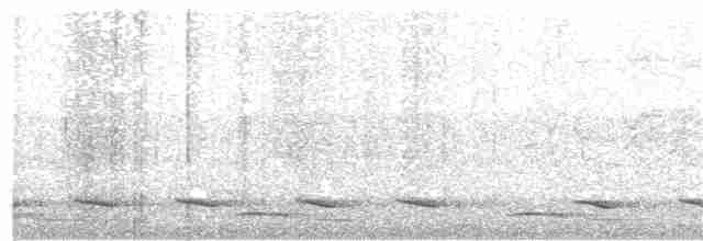 Борнейская лесная куропатка - ML173973421