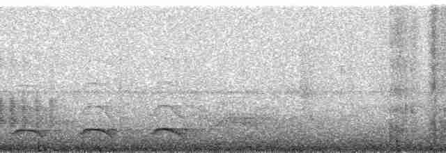 Kestane Taçlı Kotinga - ML173975