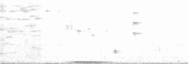 holub bronzovokřídlý - ML173980391