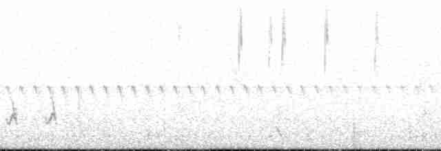 Grass Wren (Puna) - ML173986