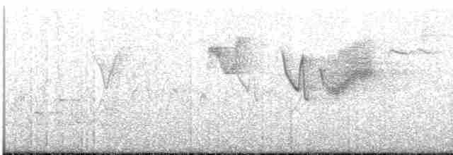 Eastern Crowned Warbler - ML174033311