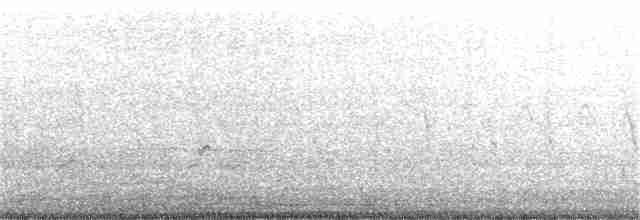 potápka malá [skupina ruficollis] - ML174139961