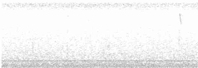 Gözlüklü Baştankara - ML174199111