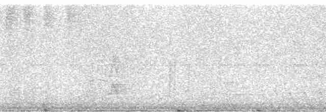 Тиранчик-довгохвіст жовточеревий - ML17437