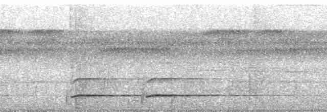 White-throated Toucan - ML174379