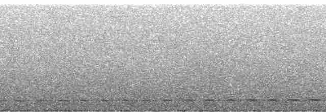 Streifenbrust-Ameisendrossel - ML174392