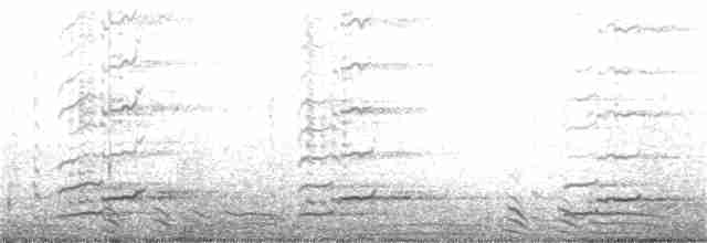 Гигантская лысуха - ML174401991