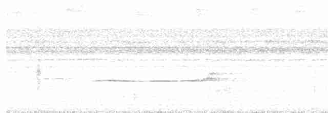 Weißmasken-Ameisenvogel - ML174404231