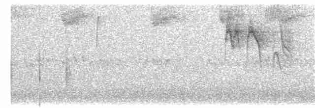 Kestane Sırtlı Baştankara - ML174438881