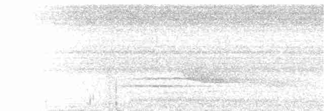Oriole Whistler - ML174485621