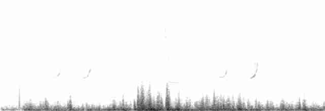 棕扇尾鶯 - ML174509211