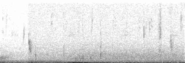 Дрізд-короткодзьоб плямистоволий - ML174579091