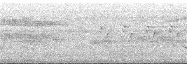 Gray-bellied Cuckoo - ML174595531