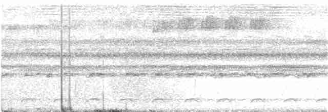 Ninoxe pointillée - ML174602741