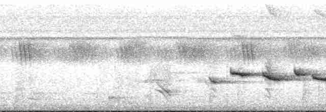 Puff-throated Babbler - ML174644
