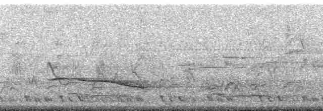 Пятнистогрудая тимелия-говорушка - ML174682