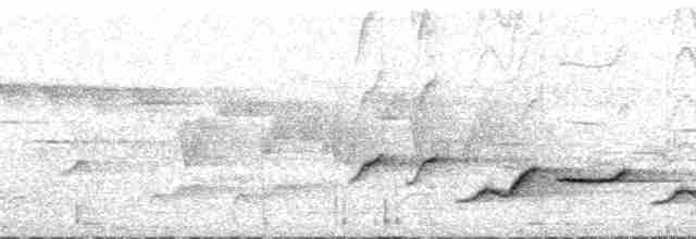 Тимелія-клинодзьоб чорновола - ML174688