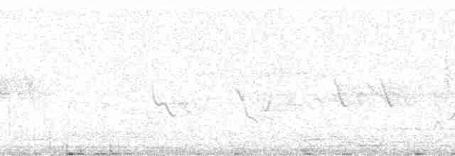 Black-crested Warbler - ML17475