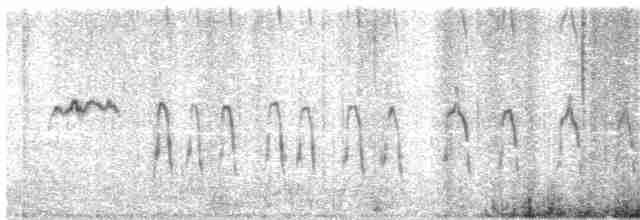 Tinamou curvirostre - ML174753411