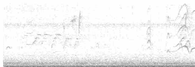 Kara Karınlı Islıkçı Ördek - ML174814021