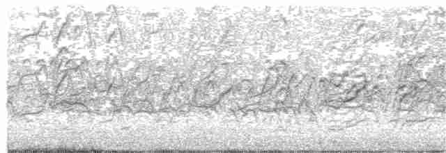 Красноклювая древесная утка - ML174814041