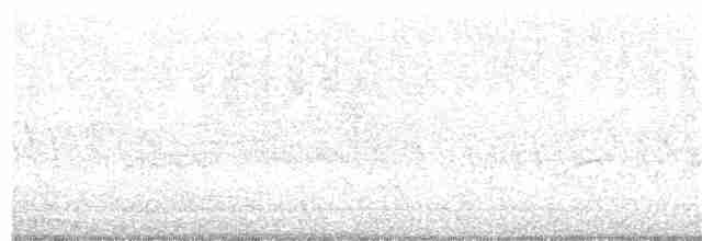 Красноклювая древесная утка - ML174816011