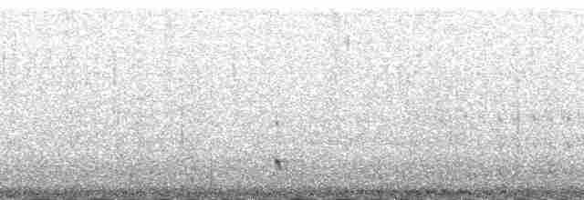 holoubek černokřídlý - ML174860