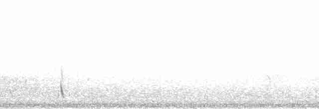 Chiguanco Thrush (anthracinus) - ML174863