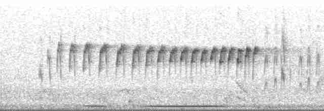 Stripe-crowned Spinetail - ML174868