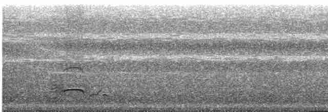 Sharp-tailed Grouse - ML174871261