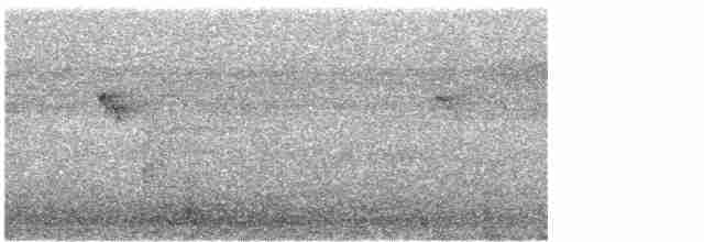 Common Kingfisher - ML174872161