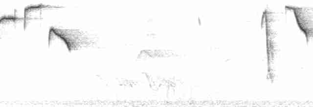 Ak Kaşlı Çalı Serçesi - ML174882