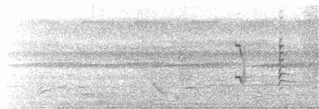 Indian Gray Hornbill - ML174930761