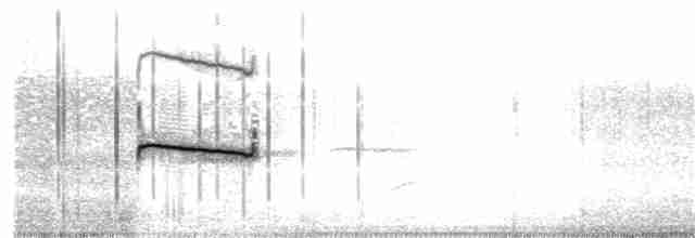 Тиранчик-тонкодзьоб північний - ML174983441