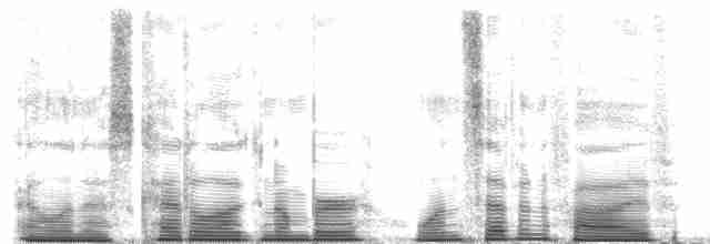 Diard Trogonu - ML175021
