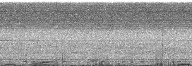 holub ametystový - ML175063