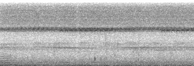 holub ametystový - ML175066