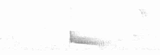 Perlenmantel-Ameisenwürger - ML175162911