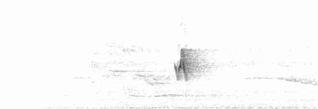 Whistler's Warbler - ML175169241