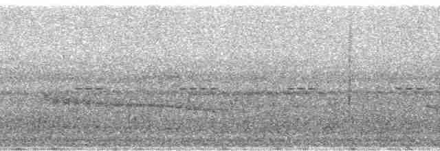 Dunkelbrust-Dickichtschlüpfer - ML17519