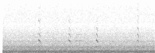 svarthalespove - ML175212161