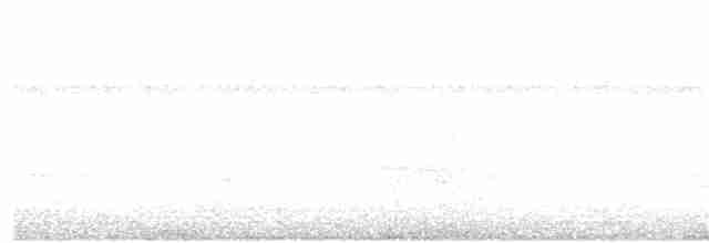 kalypta černobradá - ML175224111