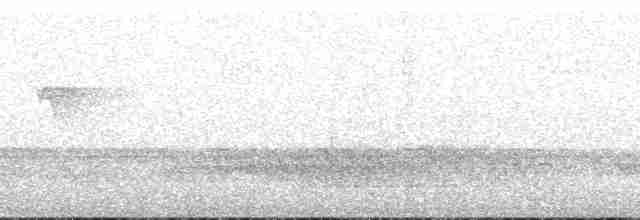 Gray-cheeked Warbler - ML175303